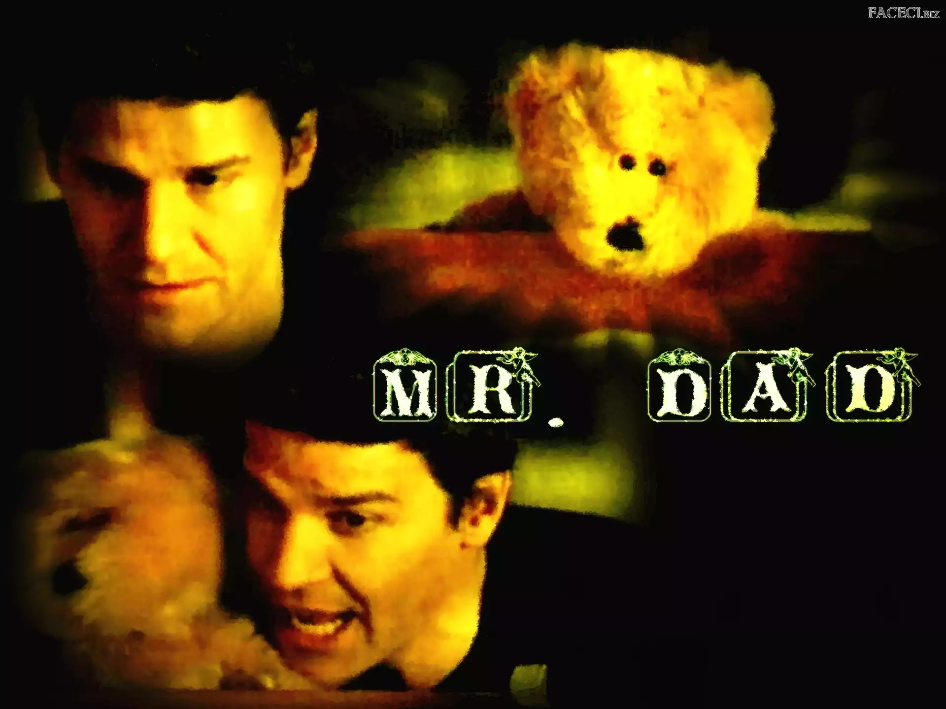 ciemne włosy, David Boreanaz, twarz