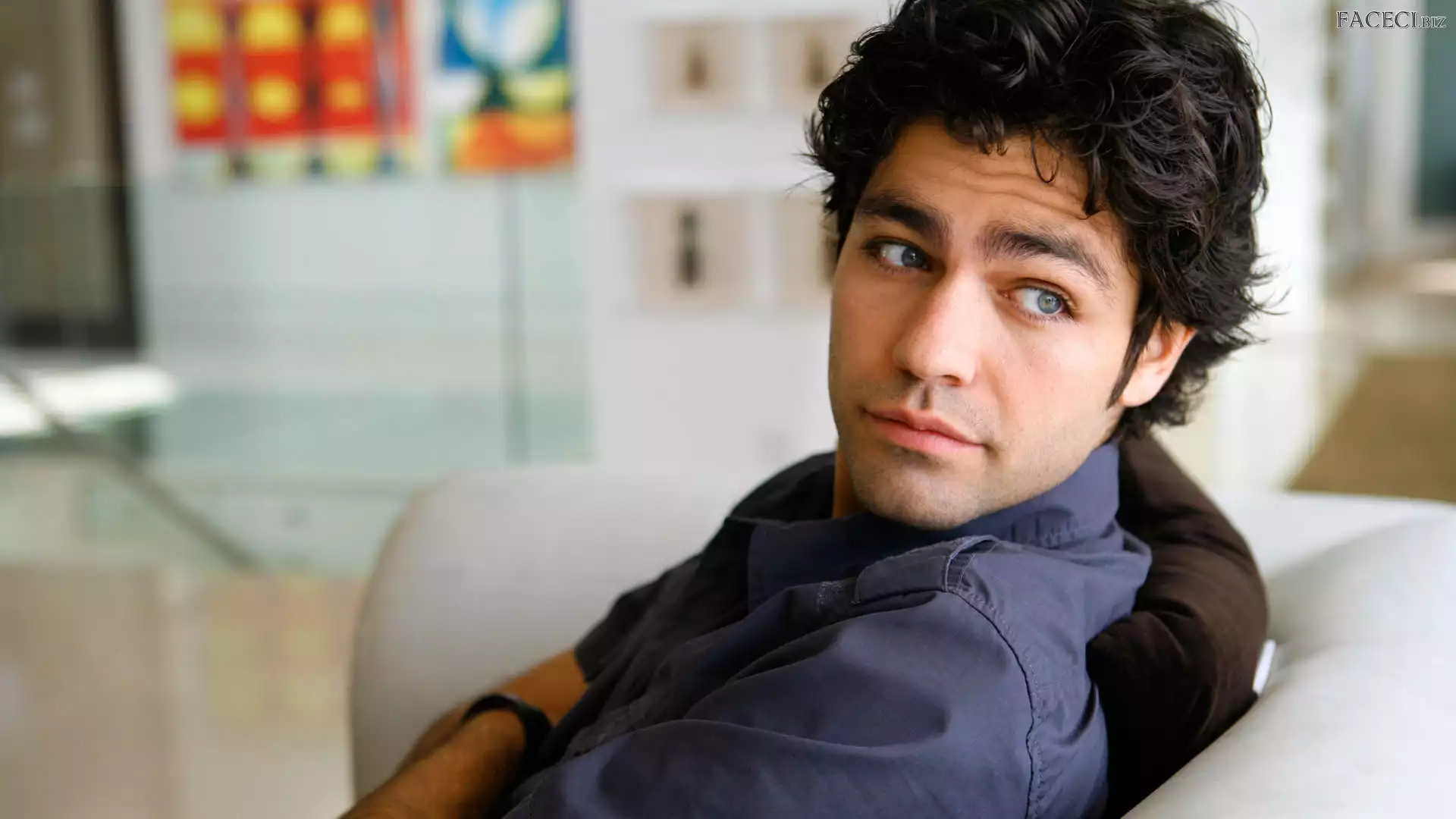 Adrian Grenier, Aktor
